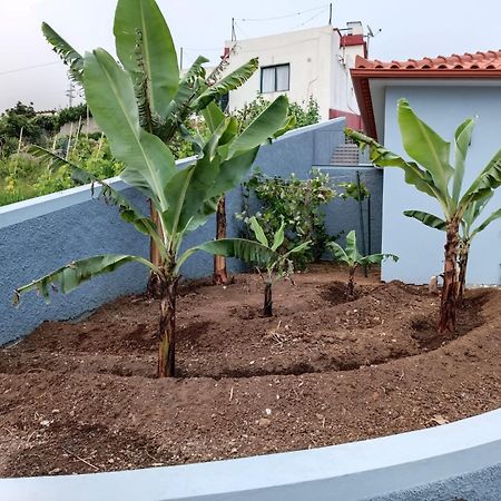 Calheta Paradise Holiday Home 阿科达卡列塔 外观 照片
